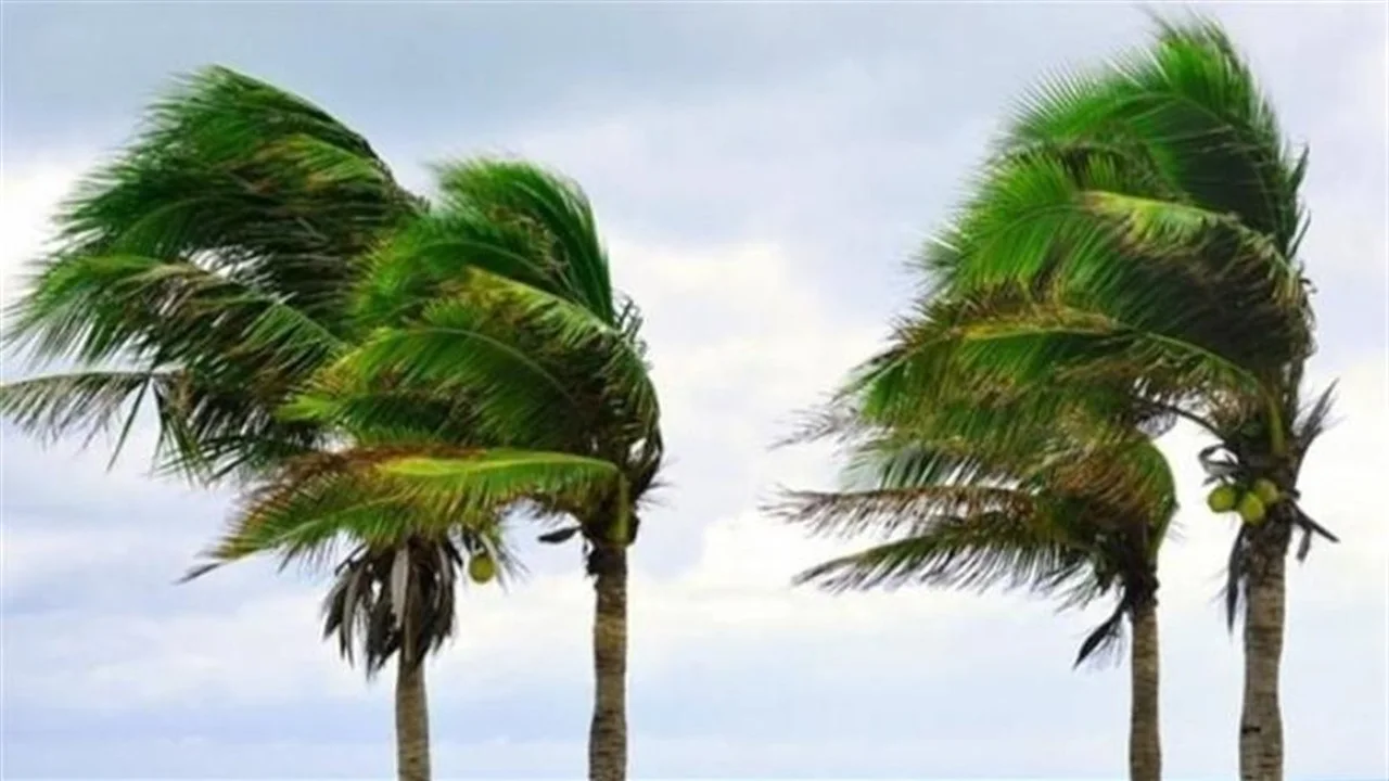 تقلبات جوية مرتقبة تضرب عدة مناطق من الخميس إلى الإثنين المقبلين